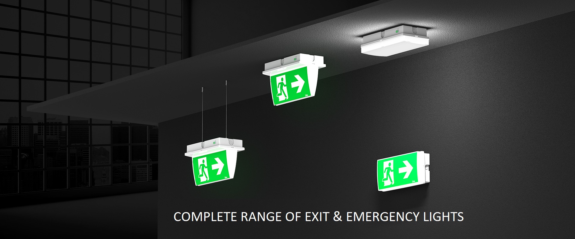 EXIT Lights